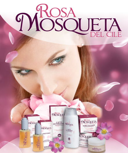 Snímek obrazovky 2025-09-11 185301